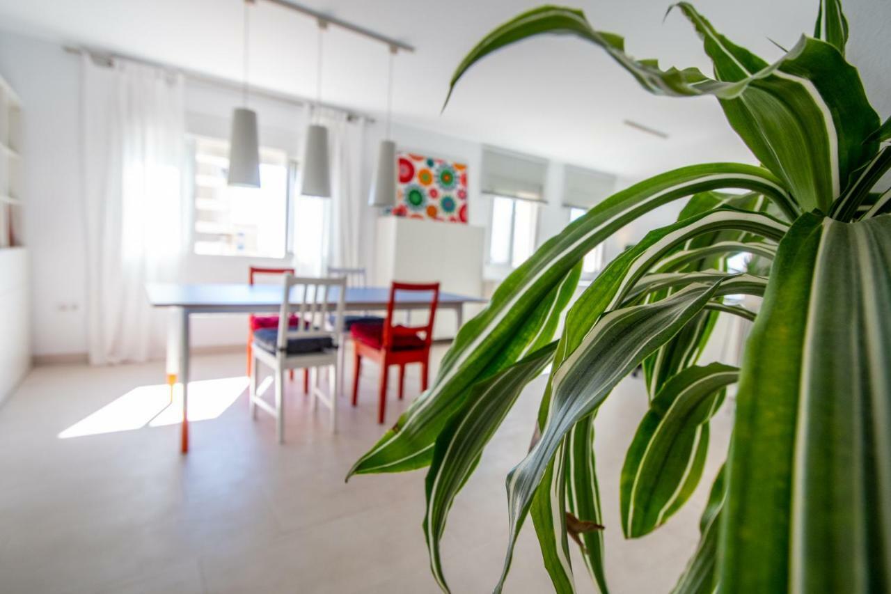 Apartamento El Rayo Verde カディス エクステリア 写真